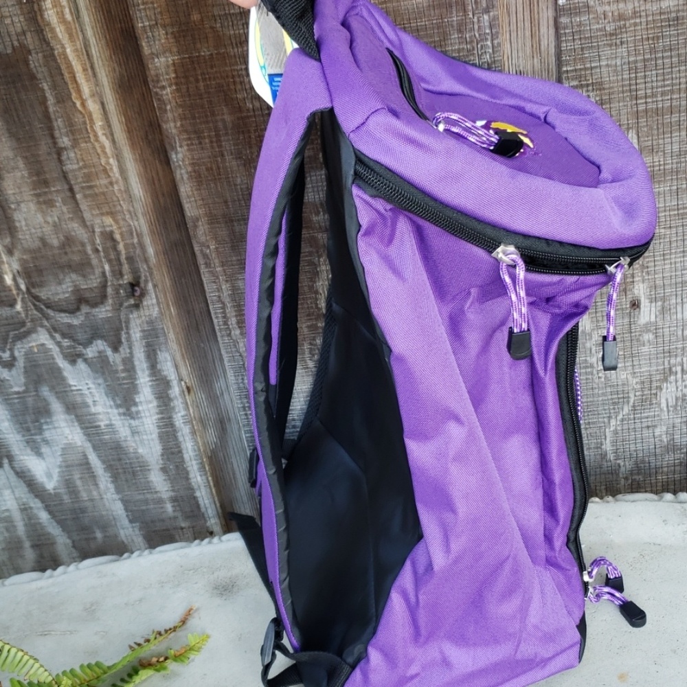 Lsu Backpack